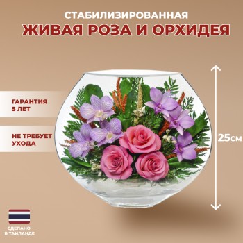 Розовые розы и орхидеи в стекле. (25 см)