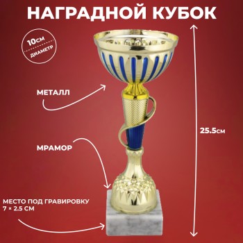 Наградной спортивный кубок на мраморном постаменте (25,5 см)