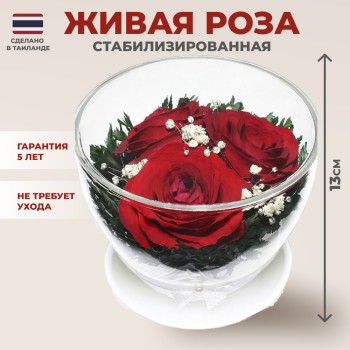 Красные Розы в стекле. (8,5 х 8,5 х 7 см)