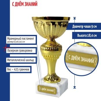 Кубок "С днём знаний" на мраморном постаменте (18,4 см)