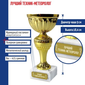 Кубок "Лучший техник-метеоролог" на постаменте (18,4 см)