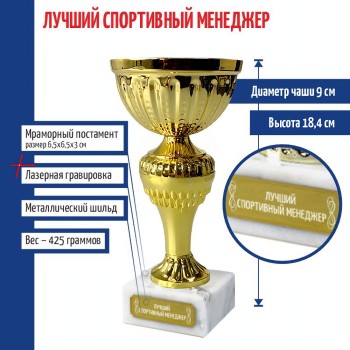 Статуэтка Кубок "Лучший спортивный менеджер" на мраморном постаменте (18,4 см)