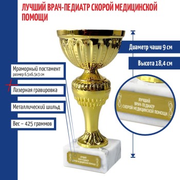Кубок "Лучший врач-педиатр скорой медицинской помощи"