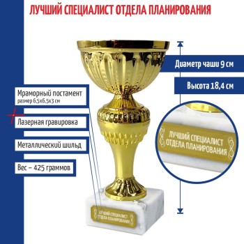 Кубок "Лучший специалист отдела планирования" (18,4 см)