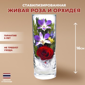 Красная роза и орхидея в стекле. (16 x 6 x 6 см)